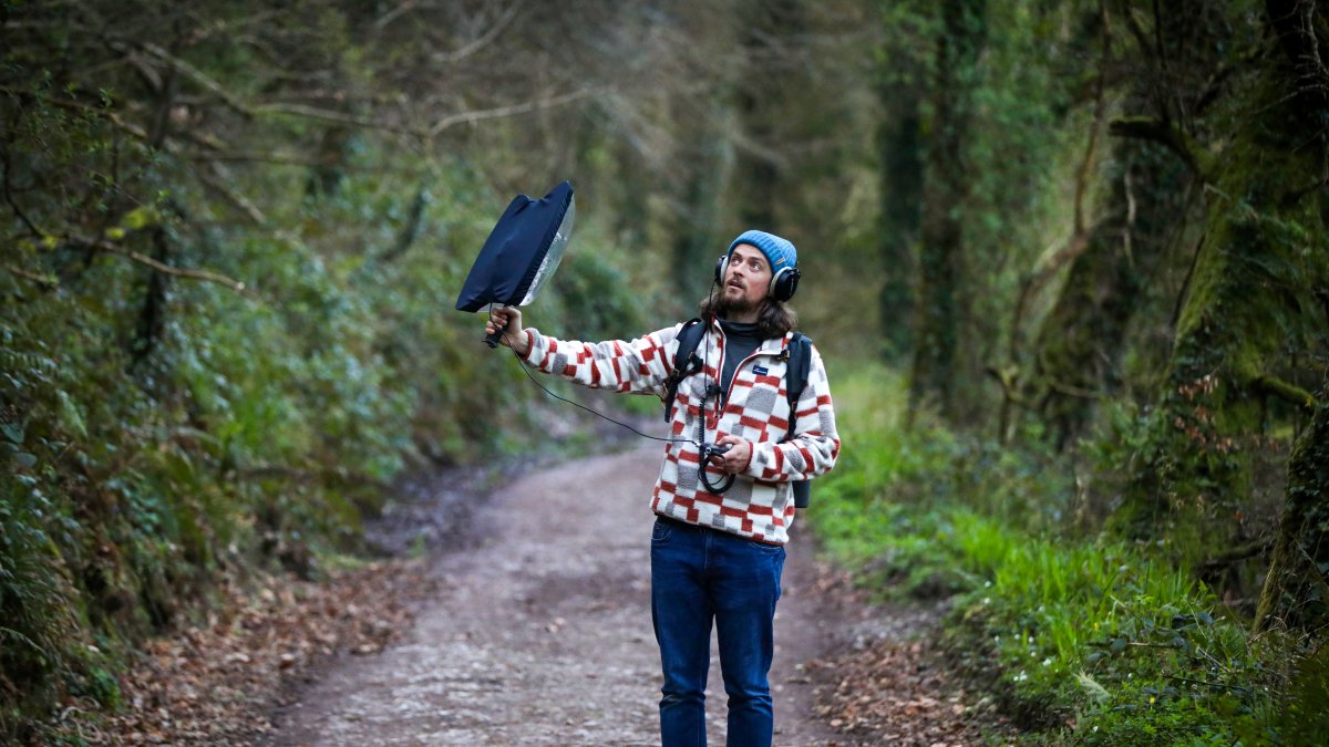 Experto. Sean Ronayne de 37 años de edad, graba el canto de una especie en el bosque.