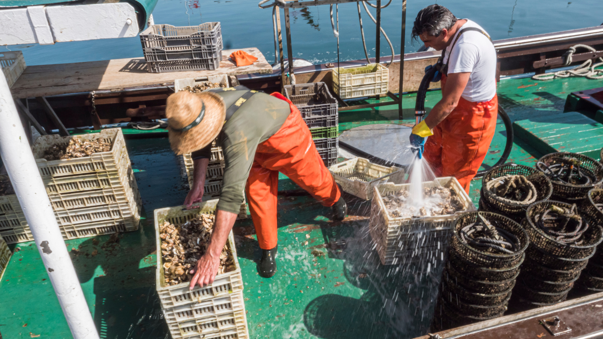 Pescadores industriales advierten que el alza en costos por el diésel afectará su actividad.