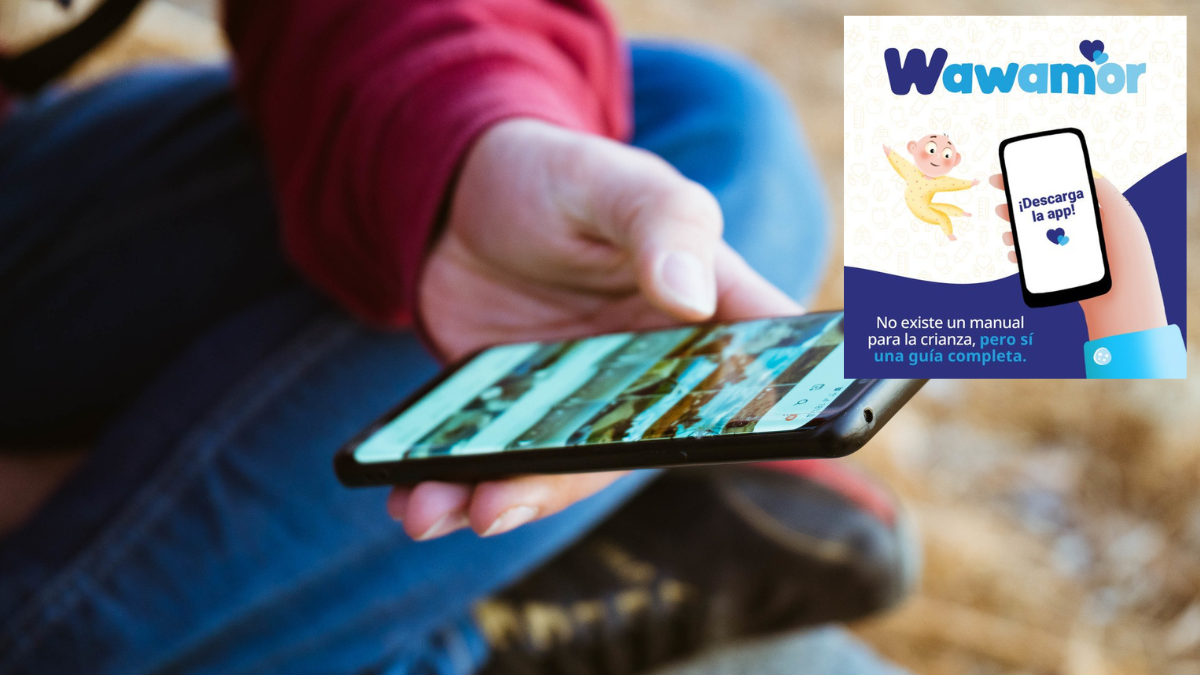 Imagen referencial de la aplicación Wawamor.