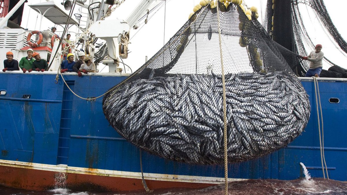 El Gobierno emite el Decreto para retirar el subsidio a la flota industrial.