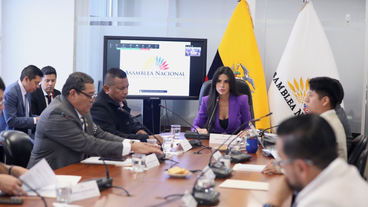 La Comisión de Participación está presidida por la legisladora oficialista Dian Jácome.