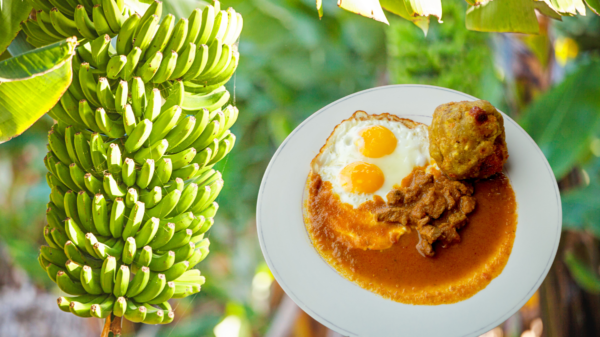 Comerciantes en Guayaquil reportan escasez de plátano verde y alza sostenida de precios en mercados y tiendas.