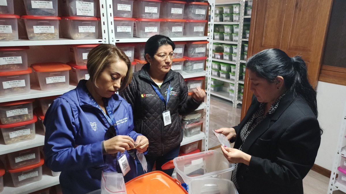 Más de 50.000 insumos médicos sin registro sanitario fueron retirados del mercado en Cuenca.