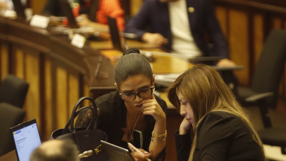 El 3 de junio de 2025, el Pleno de la Asamblea Nacional tuvo el segundo debate del proyecto de Ley Orgánica de Inteligencia.