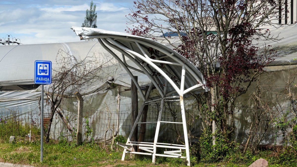 Moradores alertan sobre peligro en paradas de bus en Nayón.