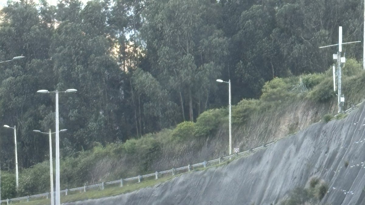 Inseguridad en la Ruta Viva: ciudadanos exigen mayor control policial.