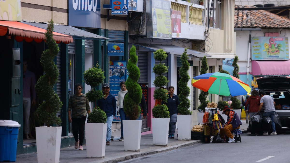 En la calle Eugenio Espejo se implementaron 30 macetas con distintas especies de plantas. Hace un año se colocaron en la Juan Montalvo.