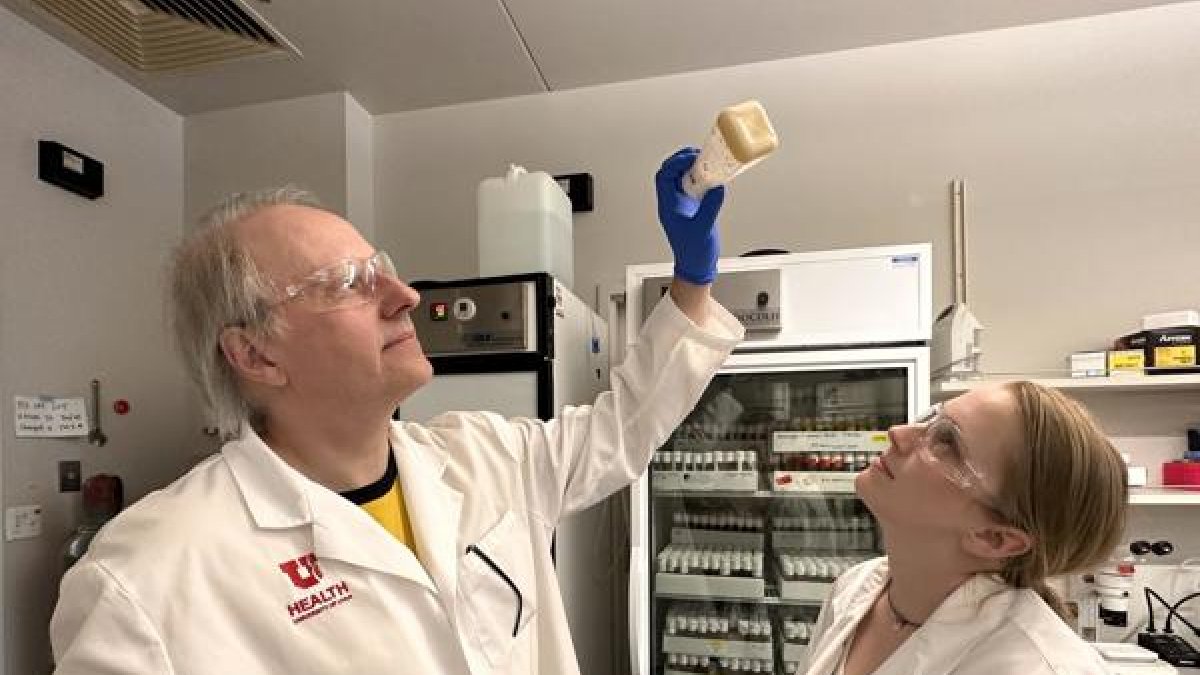 Las moscas revelan la biología de la adicción a la cocaína, llave para impulsar terapias.