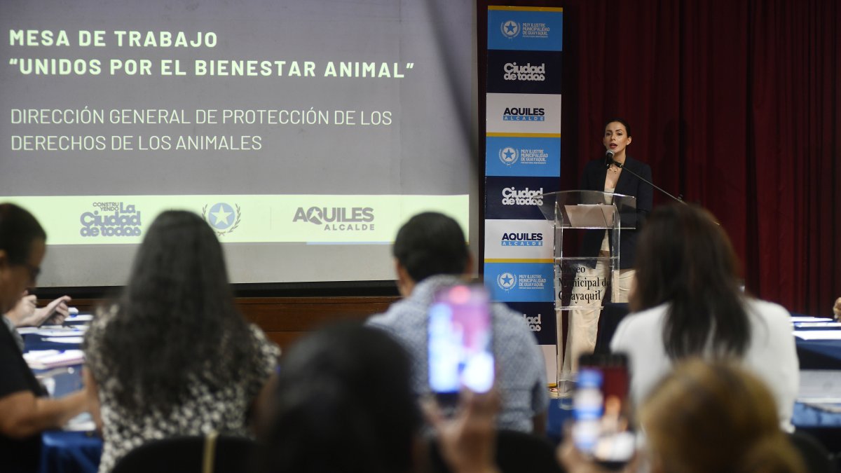 Mesa de bienestar animal.