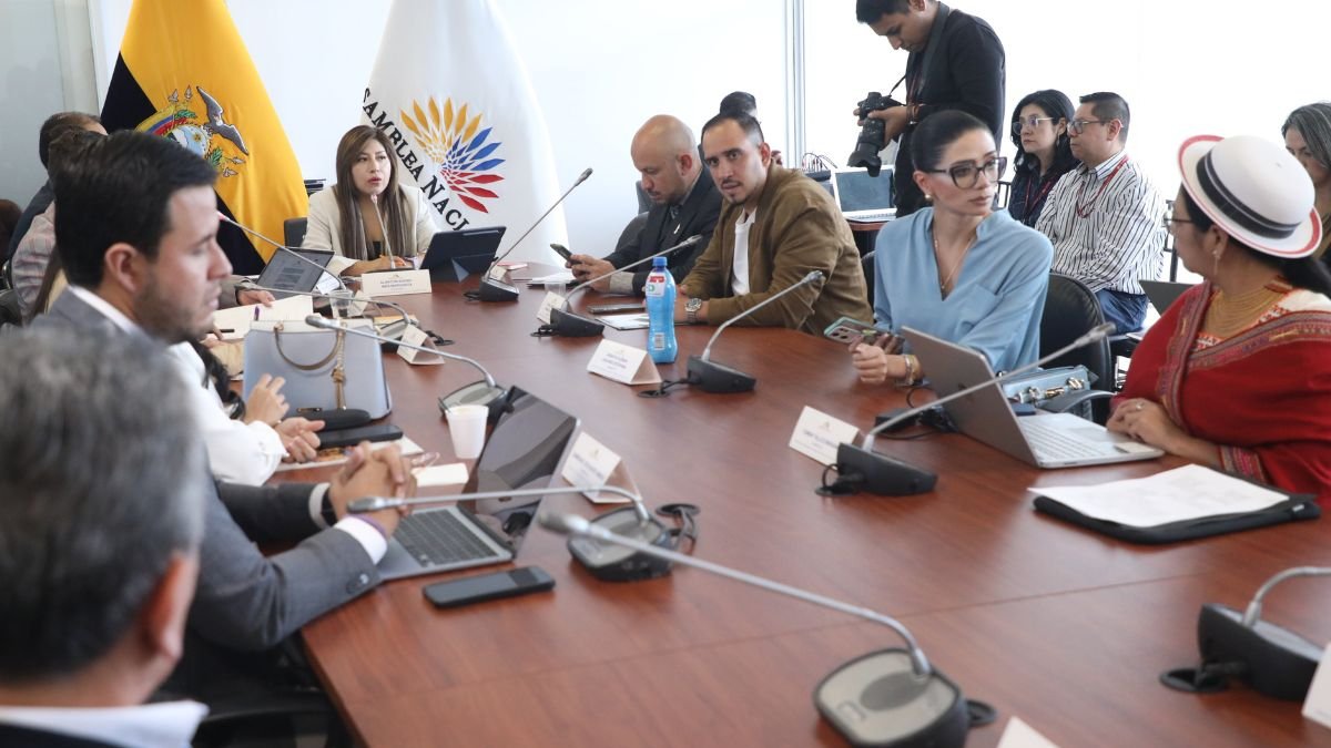 La Comisión de Seguridad sesionó este sábado 7 de junio