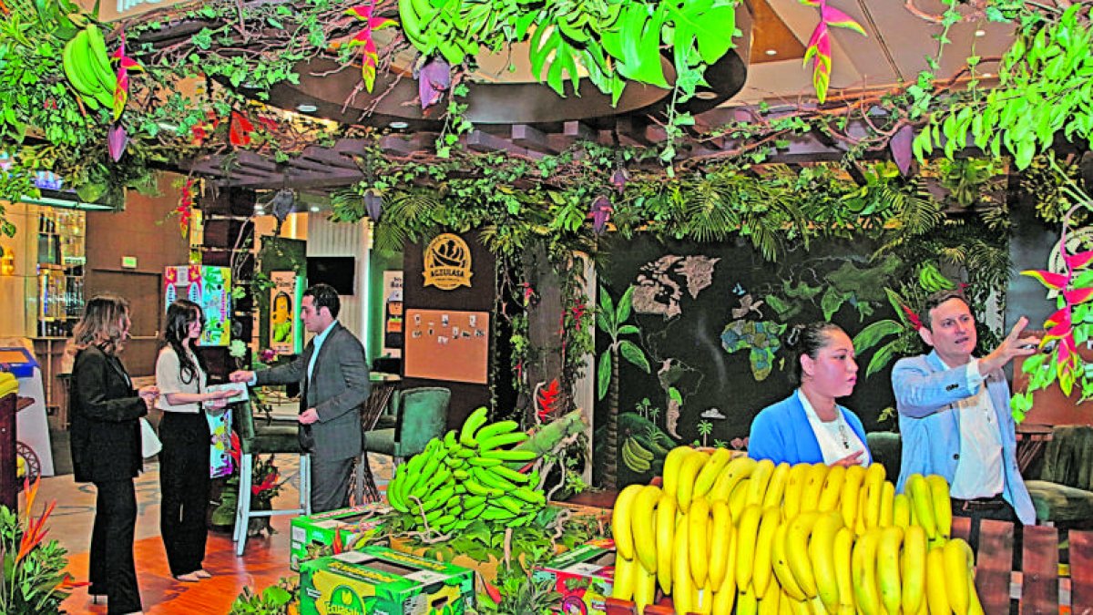 Las exportaciones de bananos crecieron un 3,21 % de enero a abril, en comparación con el mismo período del 2024.