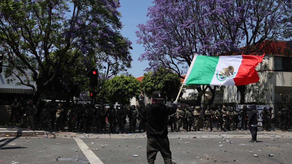 Protestante sostiene bandera mexicana en California.