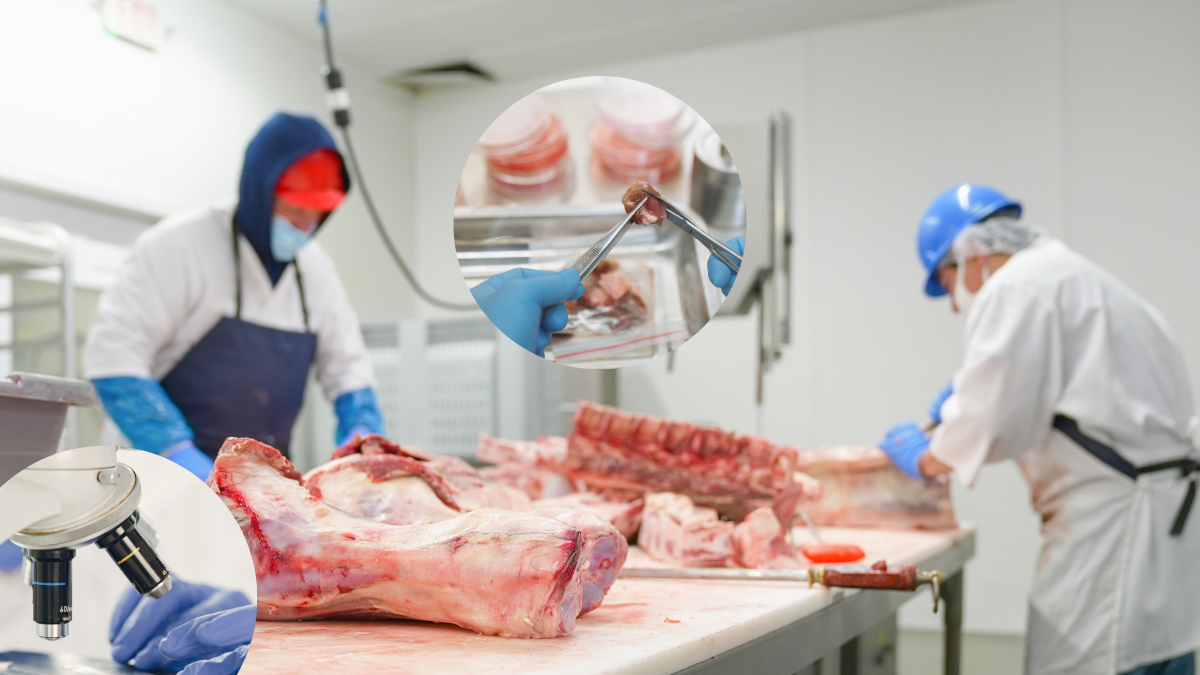 La carne cultivada replica el sabor y la textura de la carne tradicional sin criar ni sacrificar animales, en un entorno controlado
