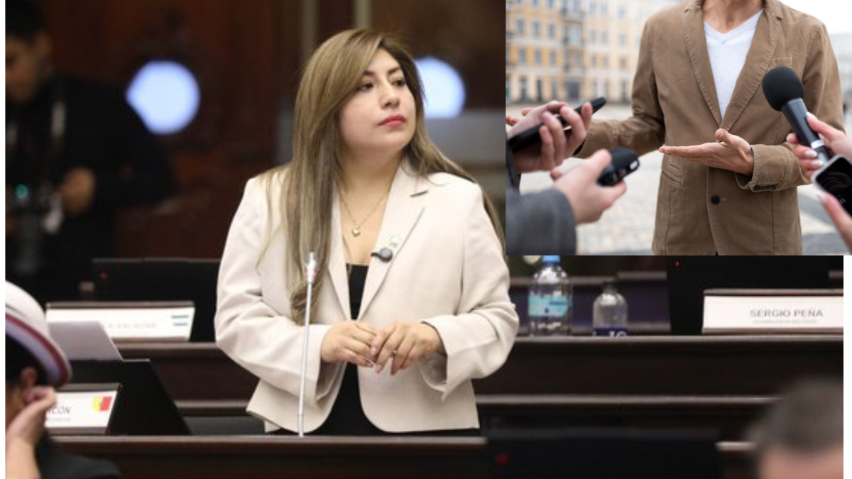 Inés Alarcón, asambleísta de ADN, aseguró que los periodistas no tendrán que revelar los nombres de sus fuentes, antes de la votación de la Ley de Inteligencia.