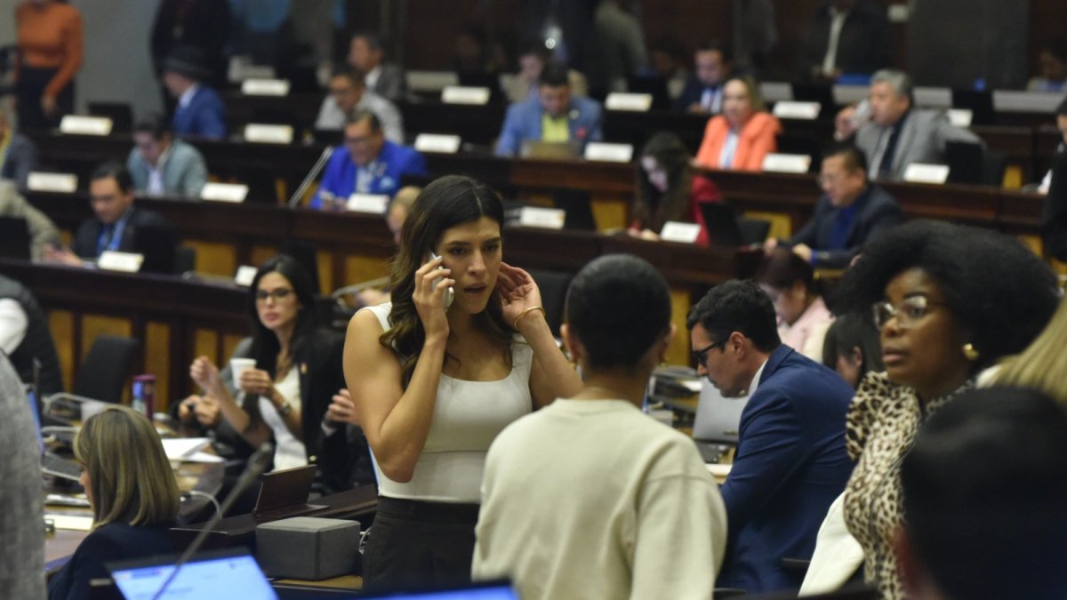 El oficialista ADN logró articular una mayoría que tiene entre 77 y 84 votos en el Pleno.