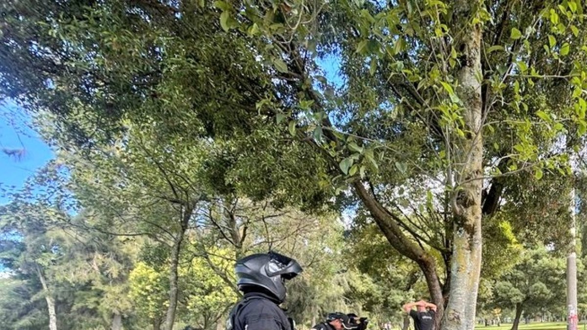 Referencial. Durante un patrullaje de rutina de la Policía Nacional encontró a dos personas que escondían sustancias sujetas a fiscalización.