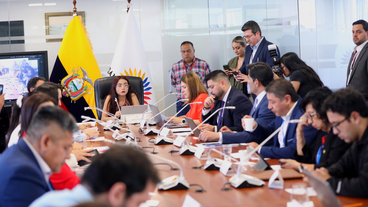 La subcontralora compareció ante la Comisión de Régimen Económico.