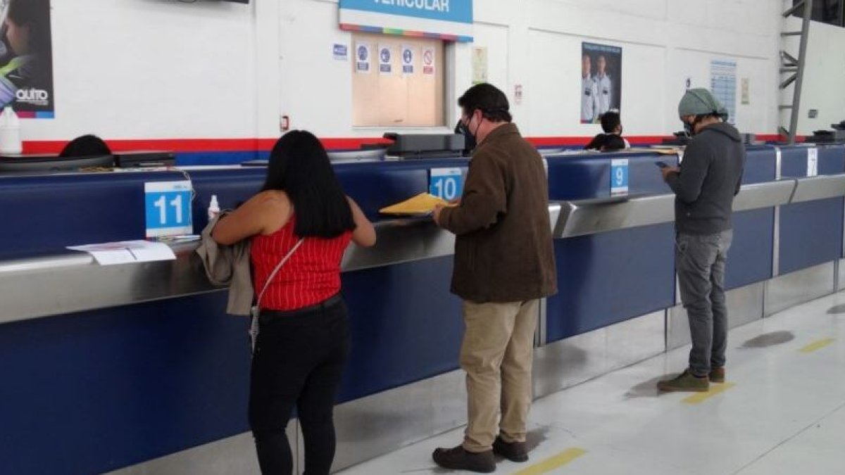 La AMT recalcó que los trámites se realizan a través de canales oficiales.