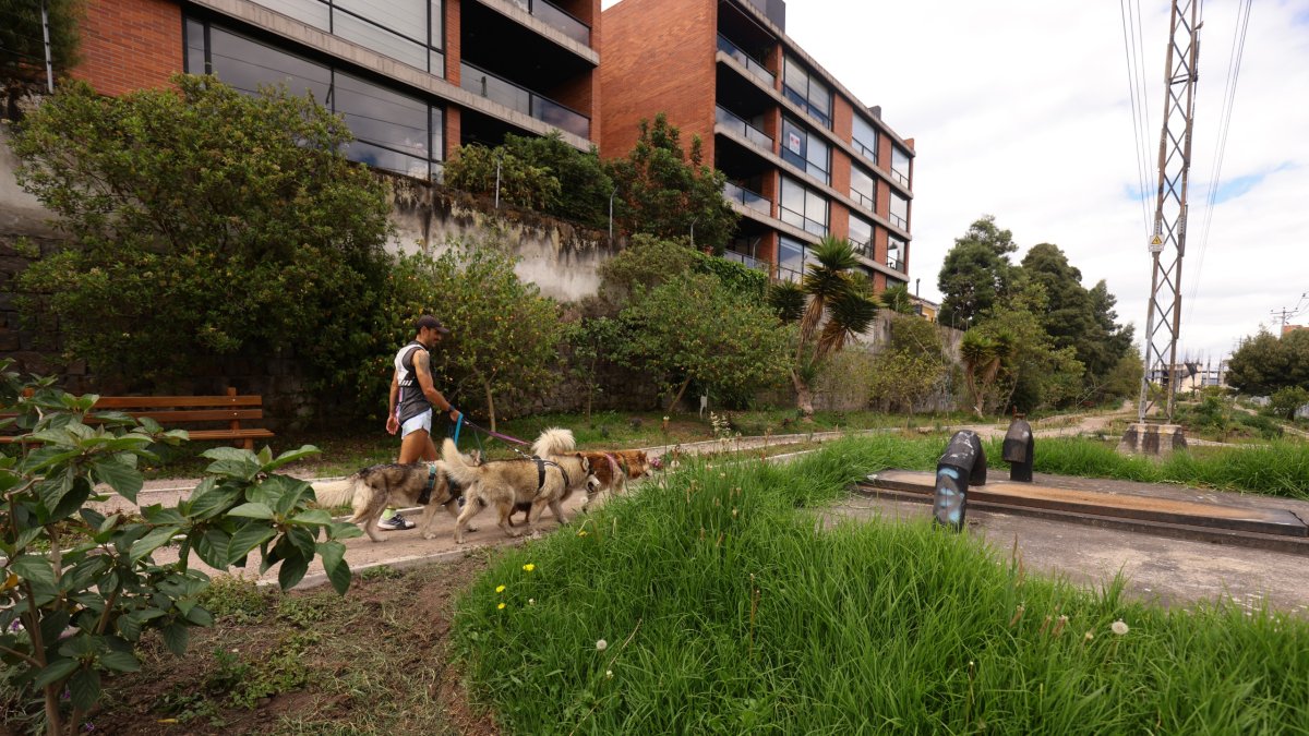 El proyecto del jardín silvestre en Bellavista recuperó un lugar inseguro con camineras y un humedal.