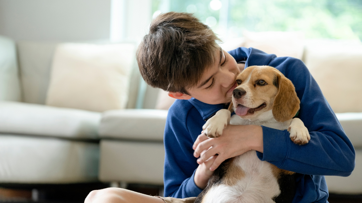Acariciar perros reduce el estrés y mejora tu estado emocional, según la psicología.