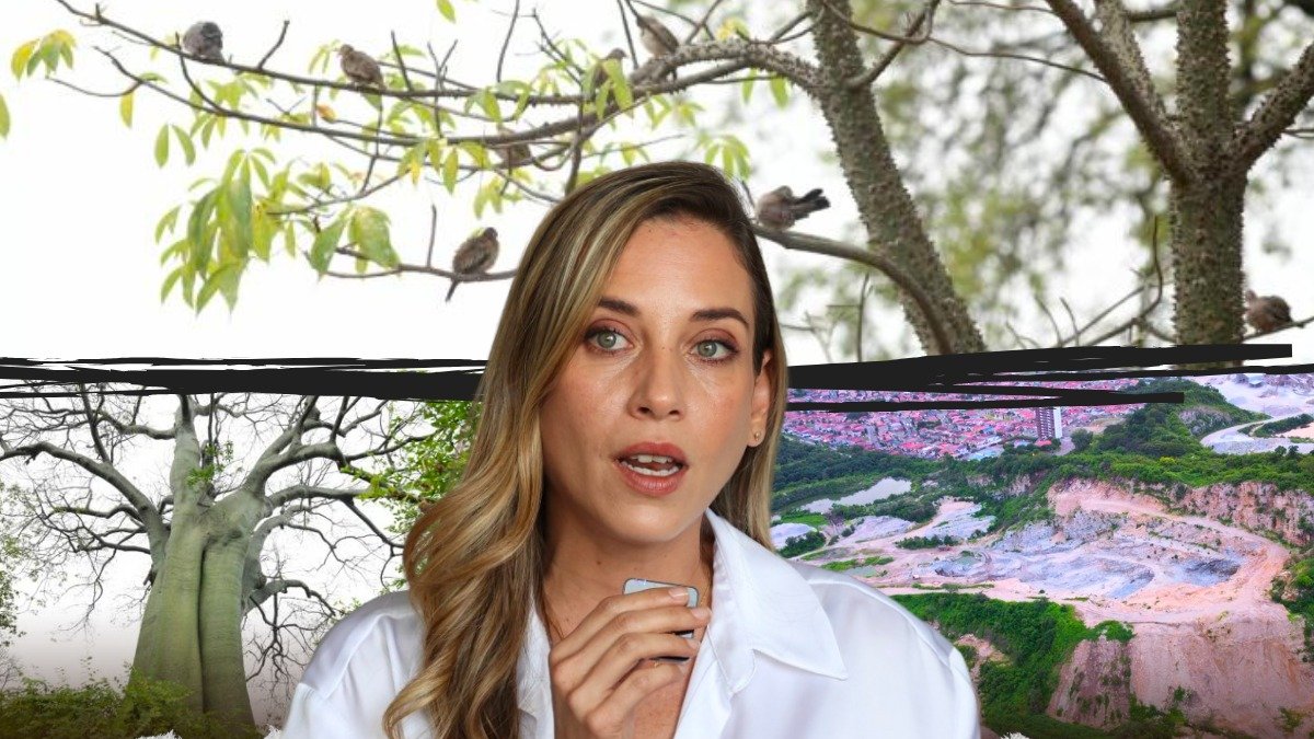 La ambientalista Andrea González cuestionó que las autoridades no hayan ejecutado acciones para preservar el Bosque Seco Tropical, ahora en peligro de extinción, denunció.