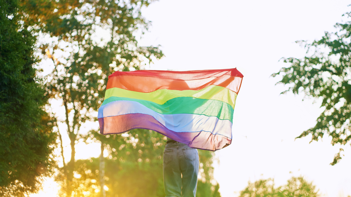 Referencial. Bandera de la comunidad LGBTI.