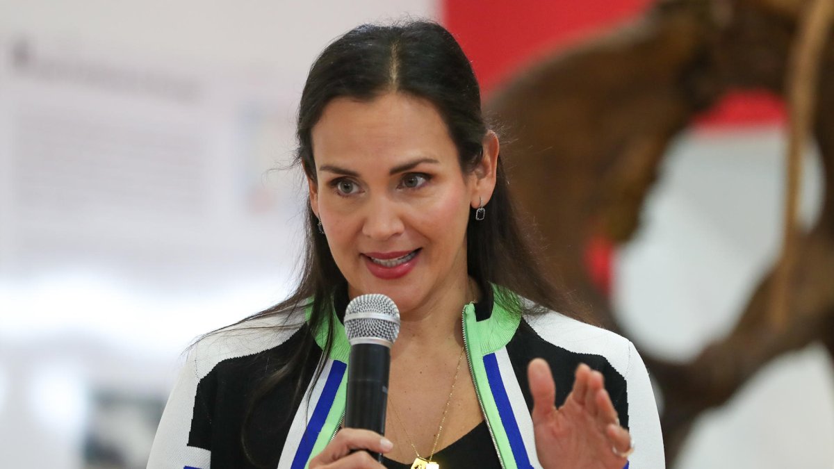 Gobierno anuncia acuerdo energético con grupo español para evitar los apagones