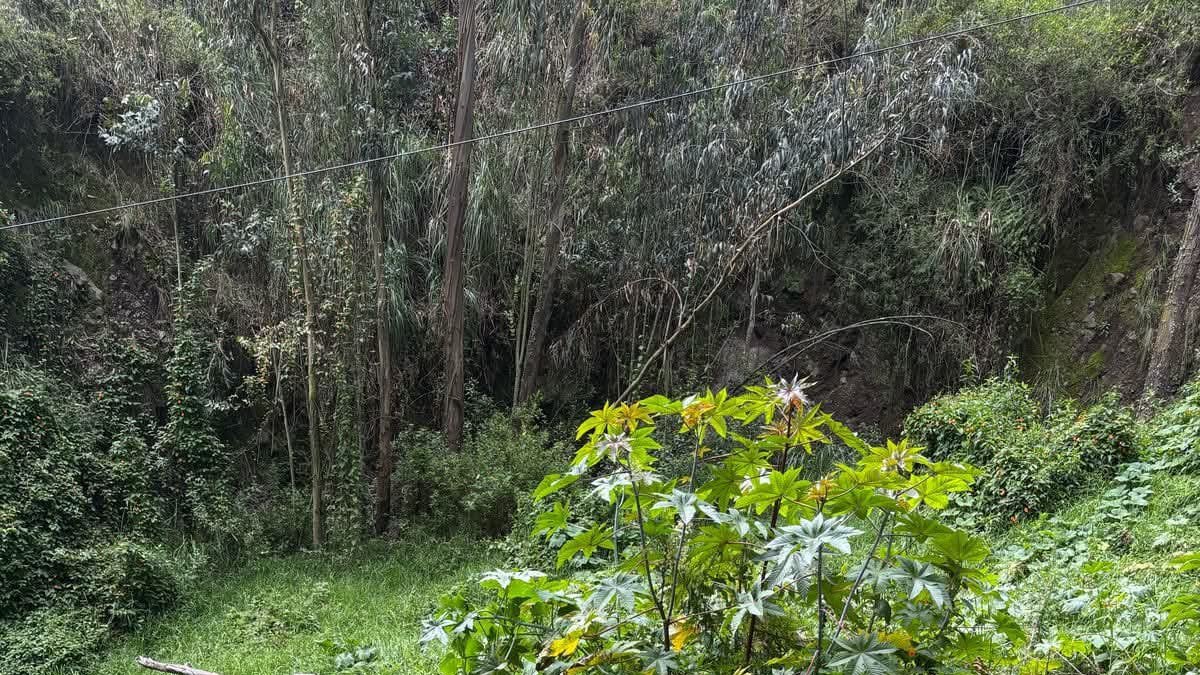 Estudiantes, comunidad y la academia participaron en el proceso.
