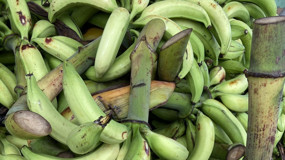 Además de la enfermedad, la elevación del precio del verde tiene su origen en otros motivos.