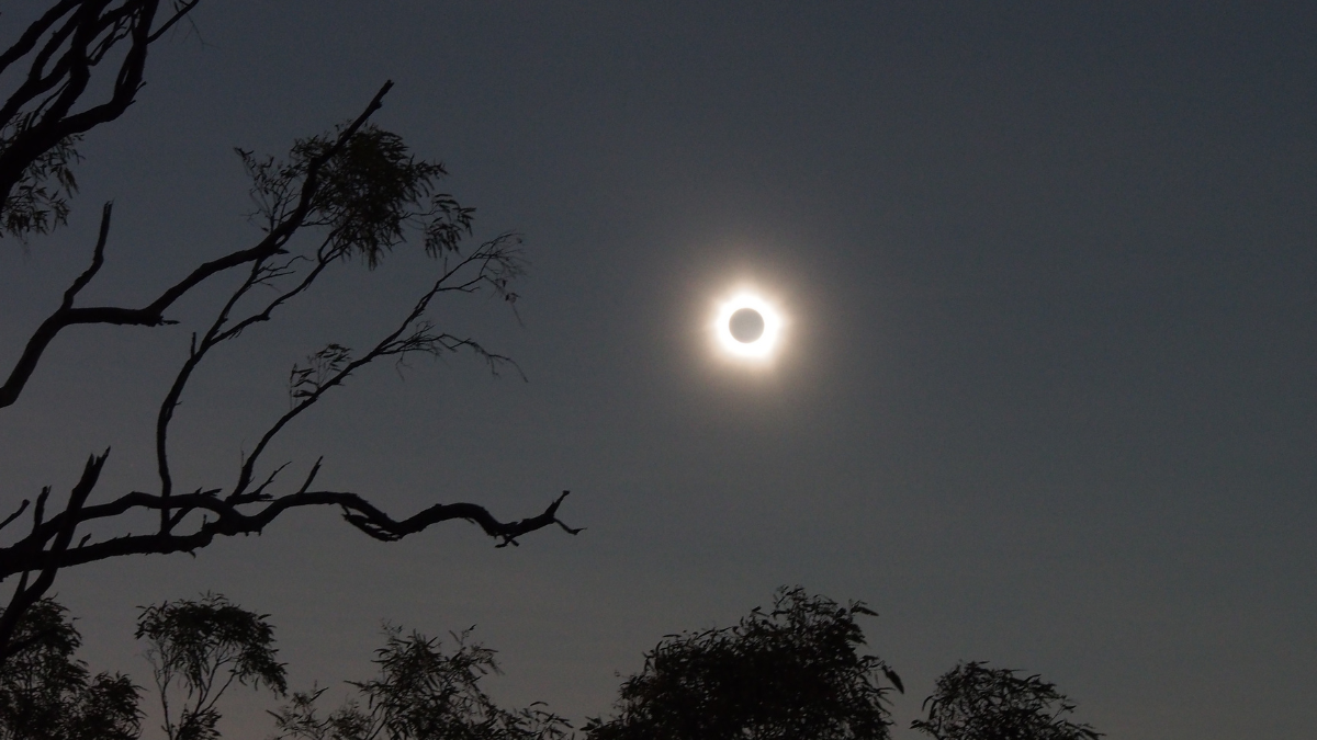 Calendario 2025 de eclipses: dos parciales de sol y dos totales de Luna, incluidas fechas y horarios para verlos.
