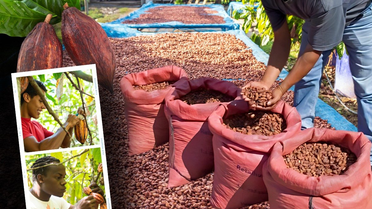 El programa Empleo Agro Joven busca impulsar emprendimientos rurales sostenibles liderados por jóvenes de Manabí y Napo.