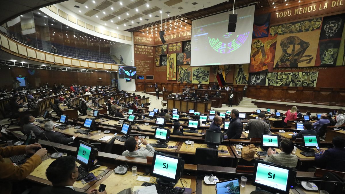 Para Human Rights Watch, estas leyes representan un intento de eludir los controles constitucionales y concentrar el poder en el Ejecutivo