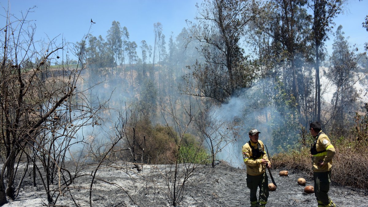 La quema agrícola es la principal causa de los incendios forestales en Quito, representan el 43,31 % de los casos .