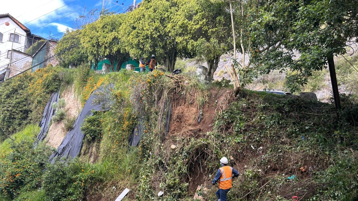 Personal de la Empresa de Movilidad y Obras Públicas trabajan en la zona.