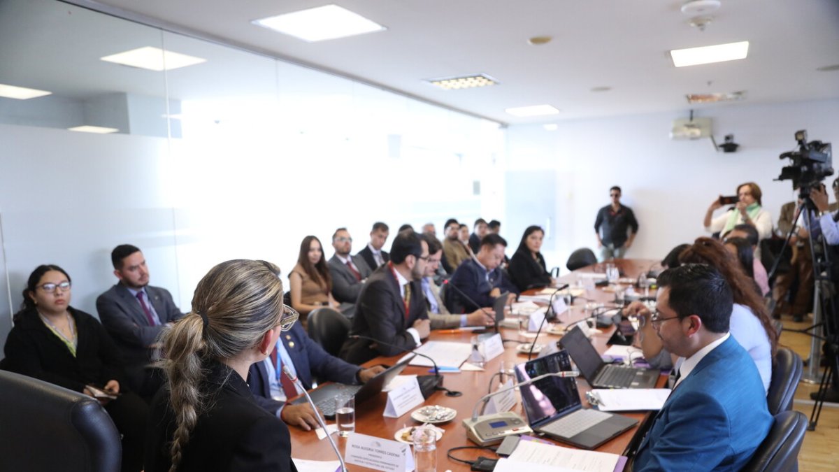 La Comisión de Justicia, presidida por la gobiernista Rosa Torres, tramitó las reformas al Código de la Democracia