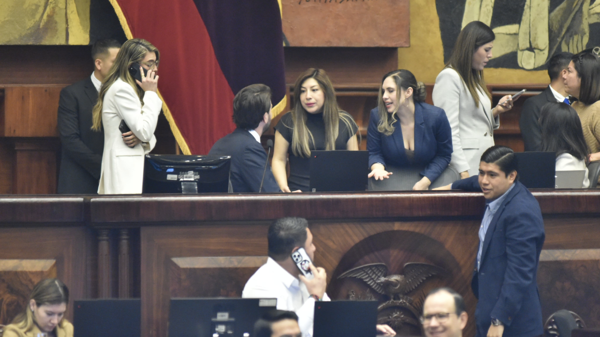 Asamblea y CNE bajo la lupa: se analizan las reformas que podrían impactar el calendario electoral.