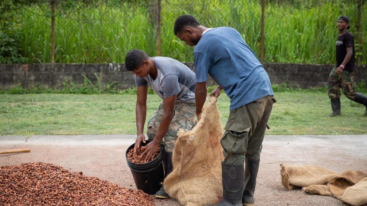 Los jóvenes seleccionados accederán a capacitación técnica certificada, alianzas estratégicas con actores del sector, y podrán recibir cofinanciamiento.