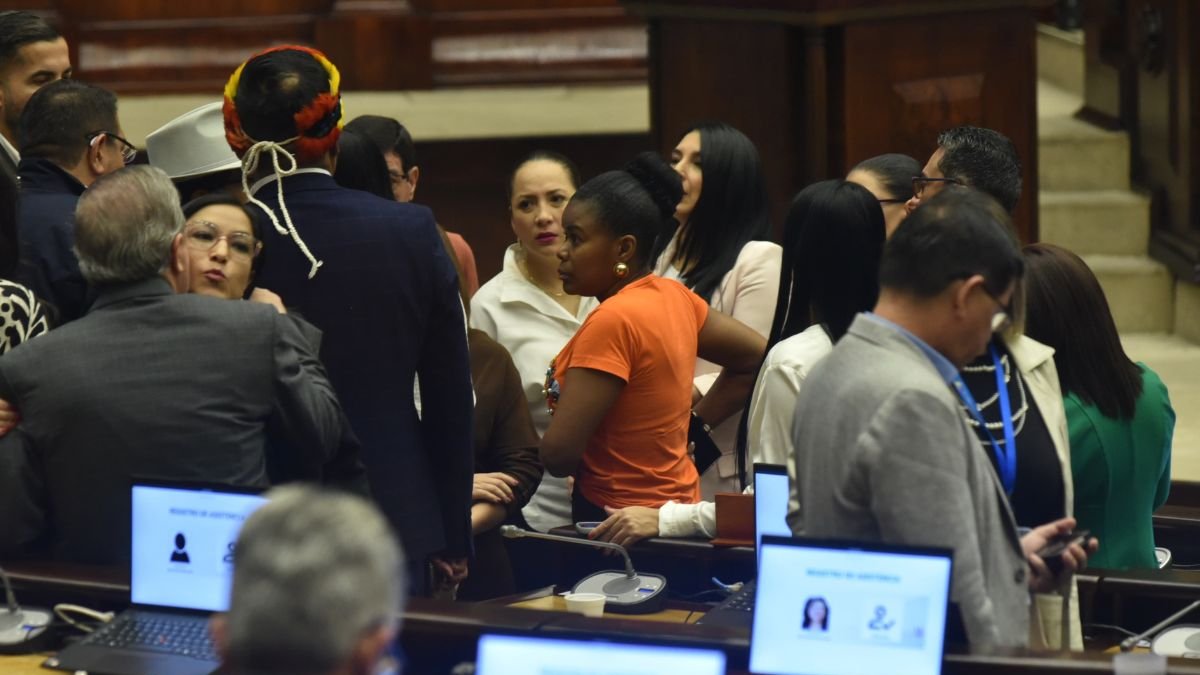 Las bancadas ADN y Revolución Ciudadana votaron en conjunto reforma que los beneficia.