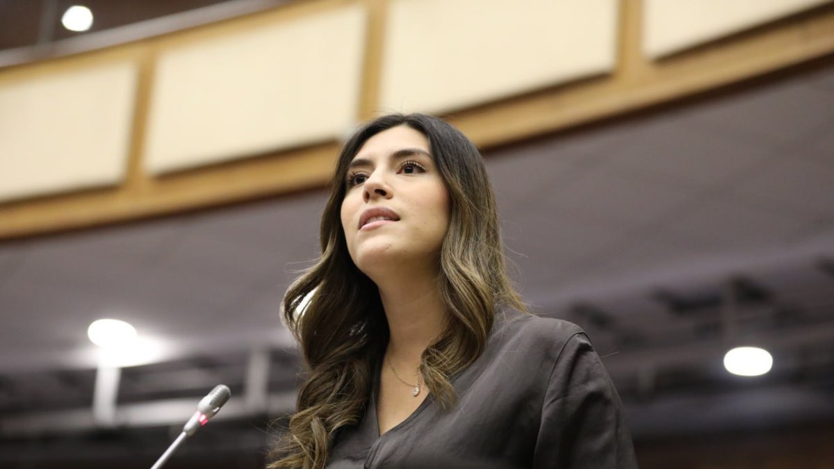 Valentina Centeno encabeza la Comisión de Desarrollo Económico en la que se tramitó la Ley de Integridad Pública.
