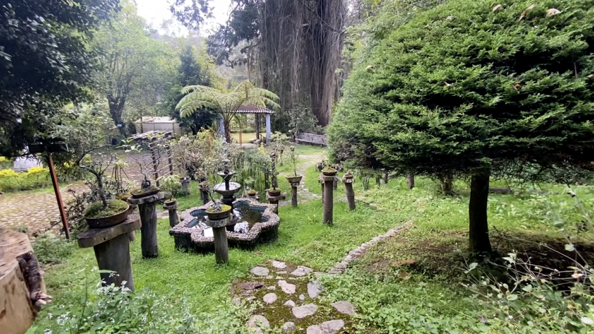 Naturaleza. En este espacio se respira aire puro y se puede tener contacto con cientos de especies de árboles.