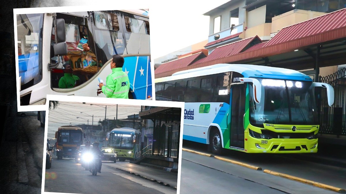 Luego de los primeros cinco días de circulación de la Troncal 4, cinco rutas serán reemplazadas por alimentadores modernos, dijo el Cabildo.