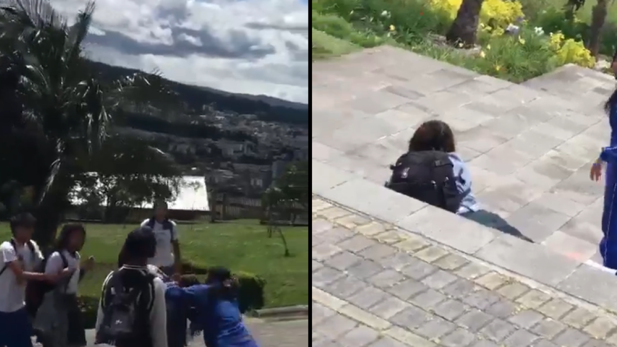 La agresión brutal a una estudiante de colegio en el Itchimbía, en Quito, provocó que un asambleísta pida que se convoque a la Ministra de Educación.