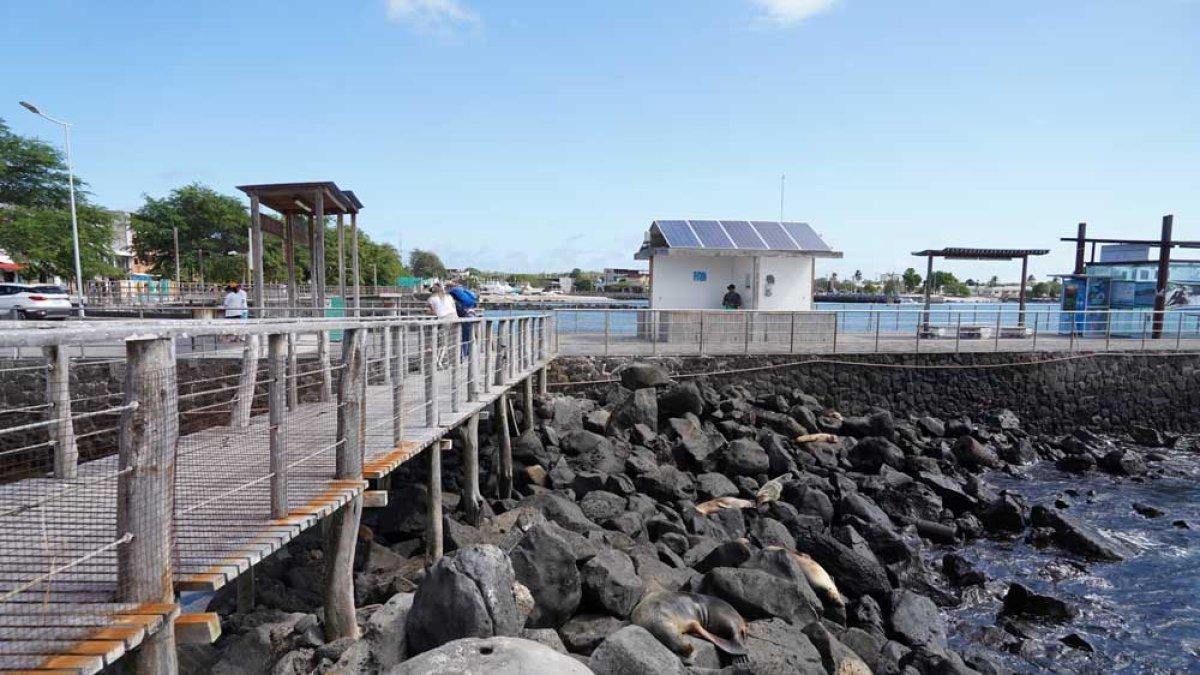 Se contempla la construcción de muelles en Santa Cruz y San Cristóbal, adaptados para recibir carga con medidas de bioseguridad.
