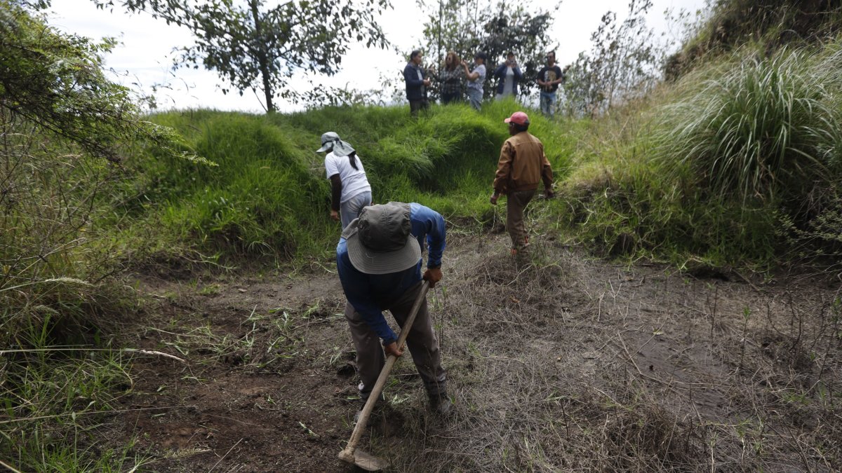 Trabajo. Comuneros de Tola Chica realizan mingas para limpiar las catacochas que se encuentran en el Ilaló.