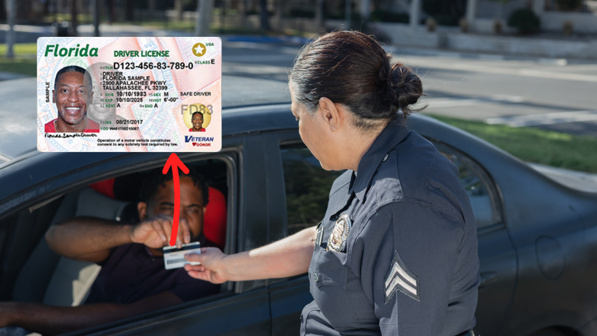 Nuevos conductores en Florida deberán completar un curso de educación vial antes de obtener su licencia