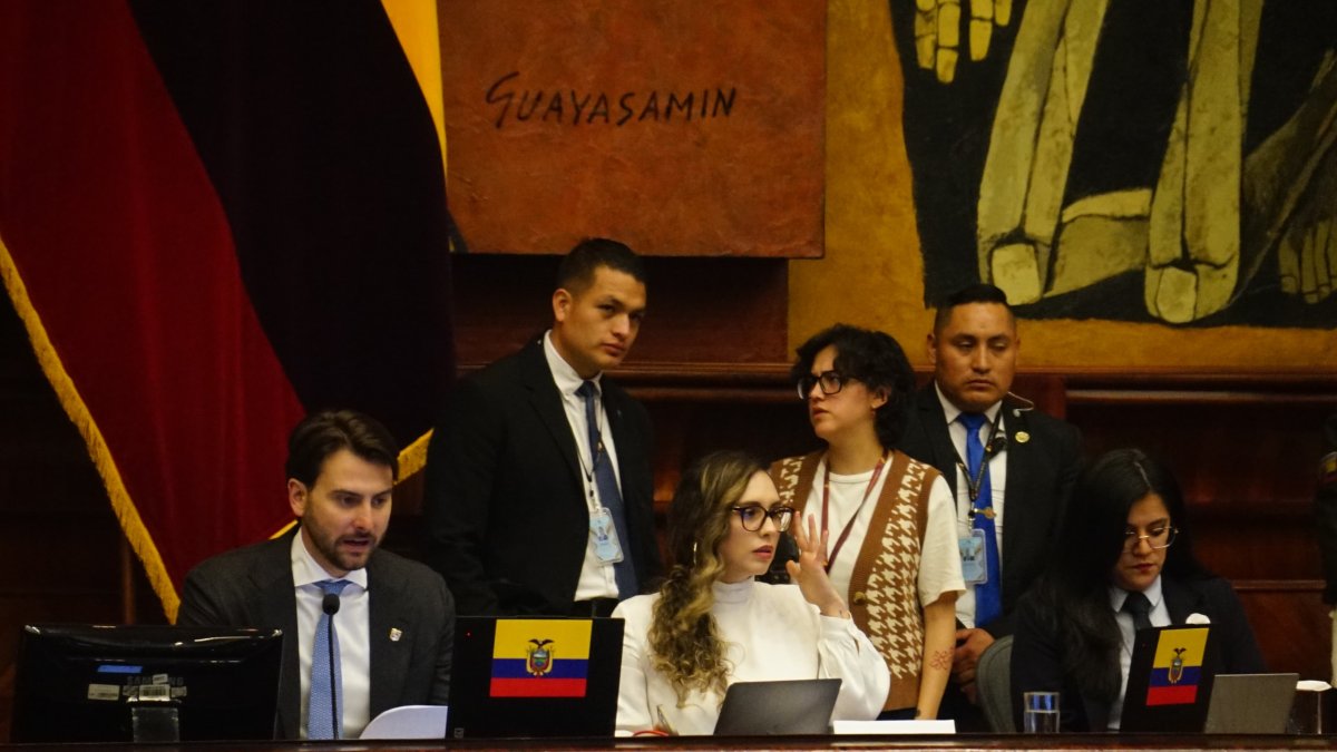 La Asamblea Nacional sesionó por el tema este 26 de junio de 2025.