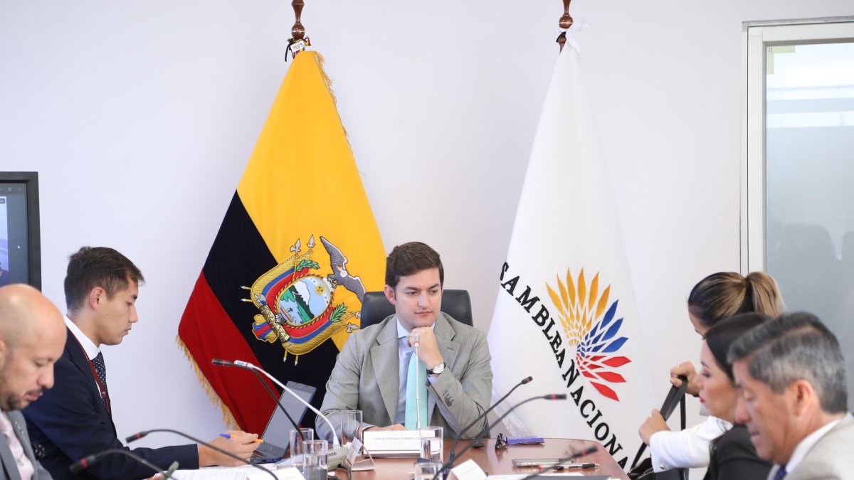 El asambleísta oficialista Esteban Torres preside la comisión ocasional.