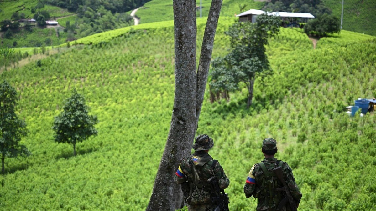 Miembros de una disidencia de guerrilla de las FARC, patrullan en el cañón del Micay, suroeste de Colombia.