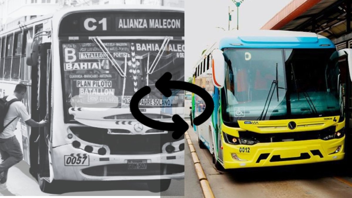 Líneas de buses dejan de operar desde este 29 de junio.