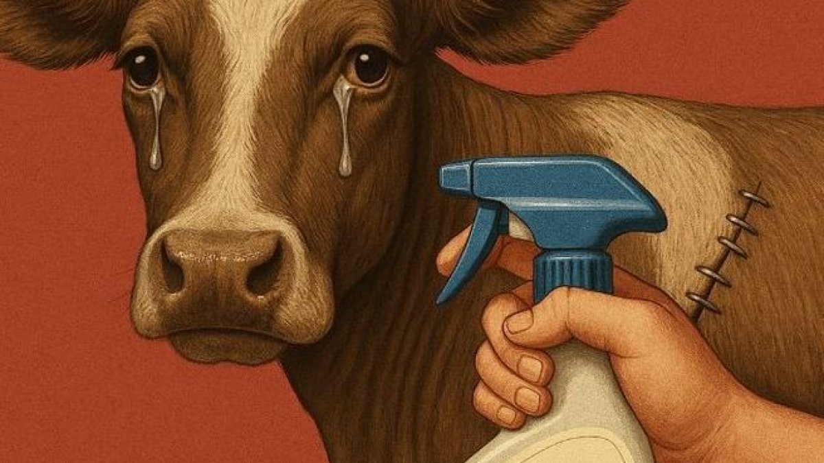 El etiquetado de productos de origen animal entrará en vigencia el 1 de julio, en Suiza.
